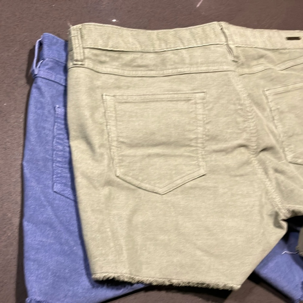 Carve Oahu Blue and Green Corduroy Women's Shorts (Size 14) 4” Inseam